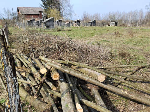 Pfotenvermittlung-Tierschutz-Kroatien11