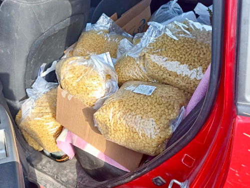 Pfotenvermittlung-Tierschutz-eV-Tula-Futter01