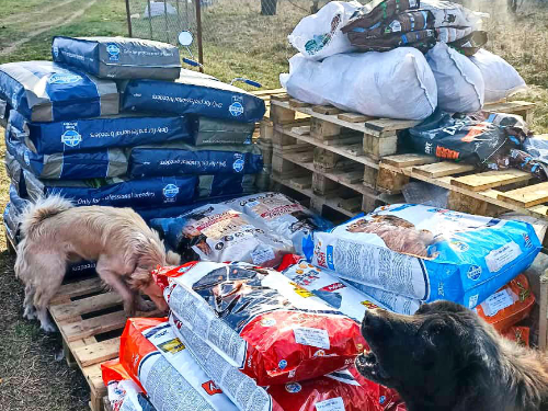 Pfotenvermittlung-Tierschutz-eV-Tula-Futter02