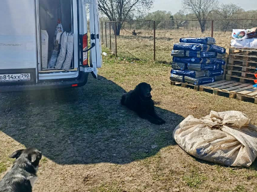 Pfotenvermittlung-Tierschutz-eV-Tula-Futter05
